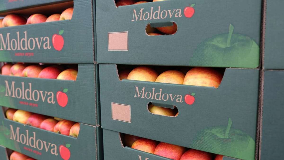 Războiul din Orientul Mijlociu afectează exportul de fructe - agroexpert.md