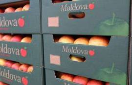 Războiul din Orientul Mijlociu afectează exportul de fructe - agroexpert.md