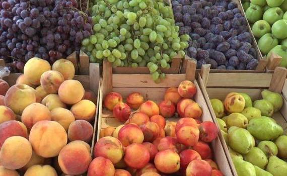 Moldova Fruct cere menținerea TVA de 8% pentru horticultură - agroexpert.md
