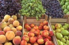 Moldova Fruct cere menținerea TVA de 8% pentru horticultură - agroexpert.md