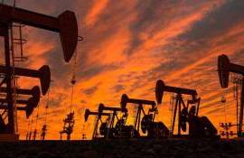 pret petrol - agroexpert.md