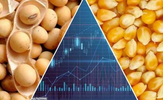 Открытие транзита через Ормузский пролив подняло цены на сою и кукурузу - agroexpert.md