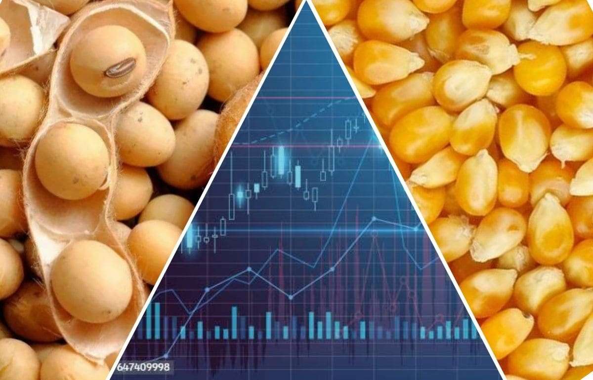 Открытие транзита через Ормузский пролив подняло цены на сою и кукурузу - agroexpert.md