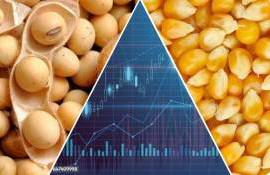 Открытие транзита через Ормузский пролив подняло цены на сою и кукурузу - agroexpert.md