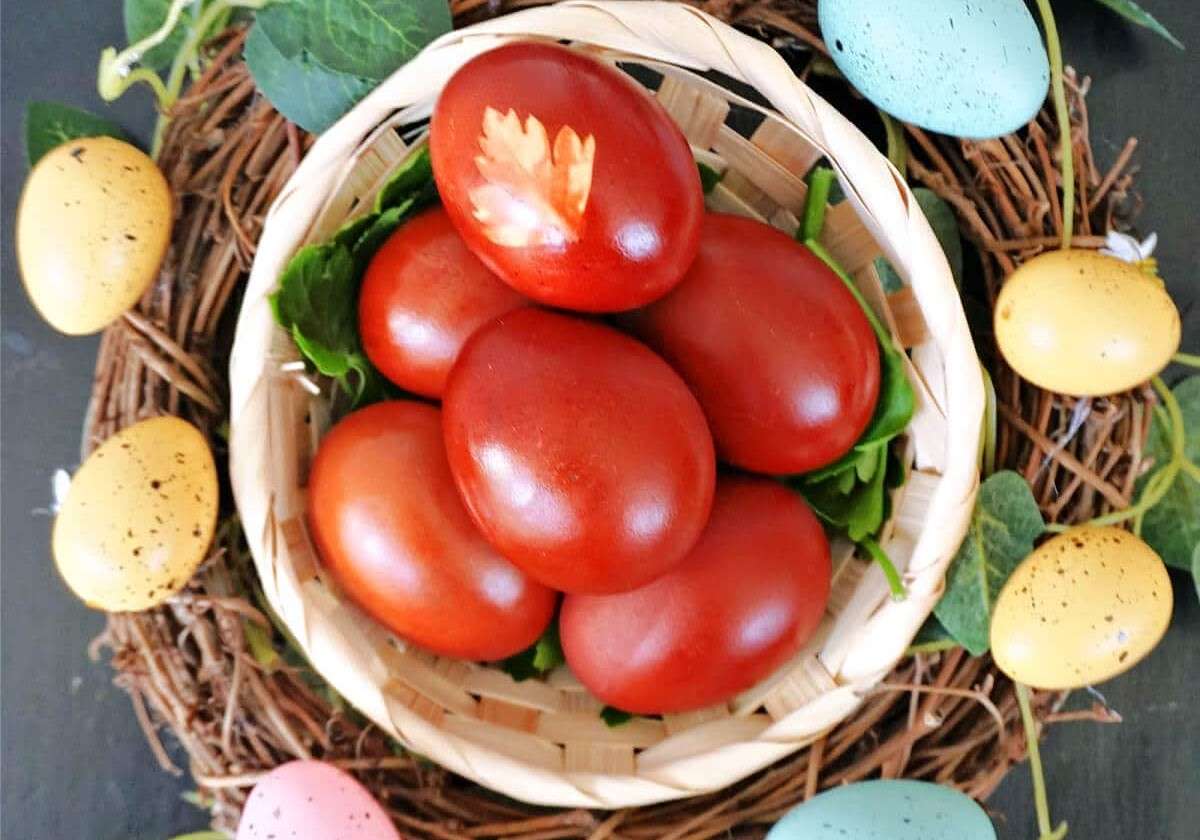 Prețul la ouă se menține - AGROEXPERT.MD