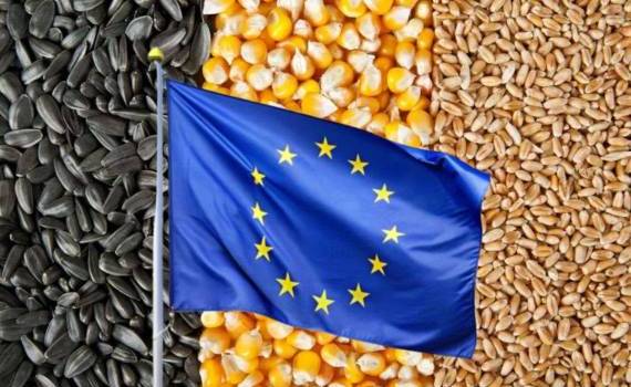 Прогноз урожайности в ЕС и соседних регионах: июньский обзор MARS - agroexpert.md