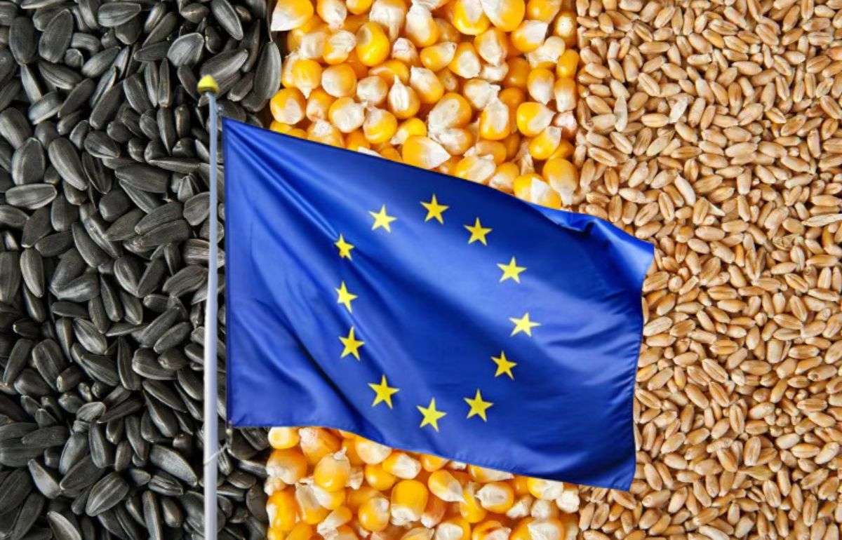 Прогноз урожайности в ЕС и соседних регионах: июньский обзор MARS - agroexpert.md
