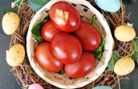 Prețul la ouă se menține - AGROEXPERT.MD