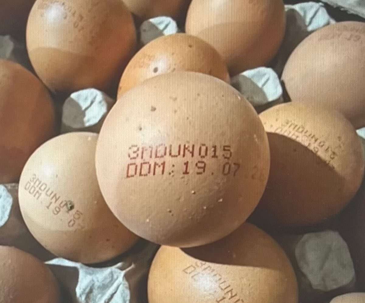 ANSA retrage un lot de ouă contaminate cu Salmonella: Care sunt acestea - agroexpert.md
