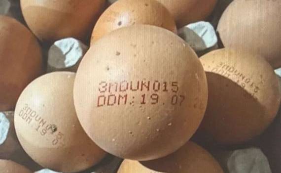 ANSA retrage un lot de ouă contaminate cu Salmonella: Care sunt acestea - agroexpert.md