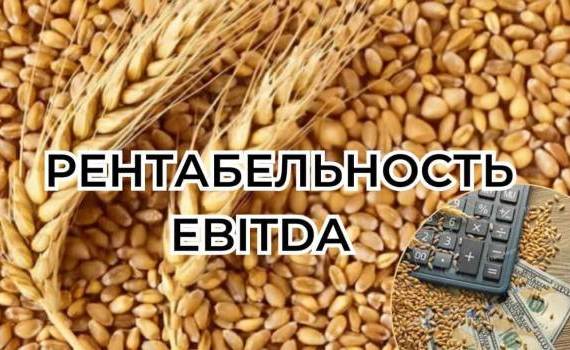 Стратегия для максимально возможной рентабельности выращивания пшеницы - agroexpert.md