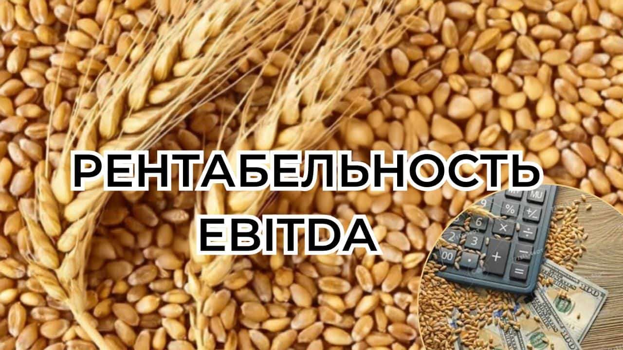 Стратегия для максимально возможной рентабельности выращивания пшеницы - agroexpert.md