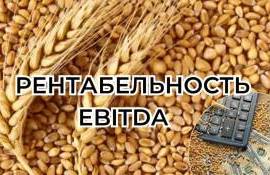 Стратегия для максимально возможной рентабельности выращивания пшеницы - agroexpert.md
