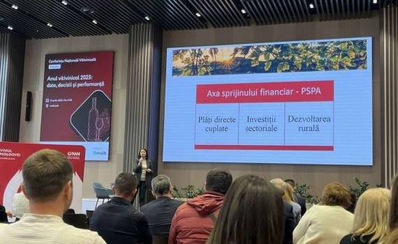 AIPA a anunțat suma investițiilor pentru sector vitivinicol - agroexpert.md