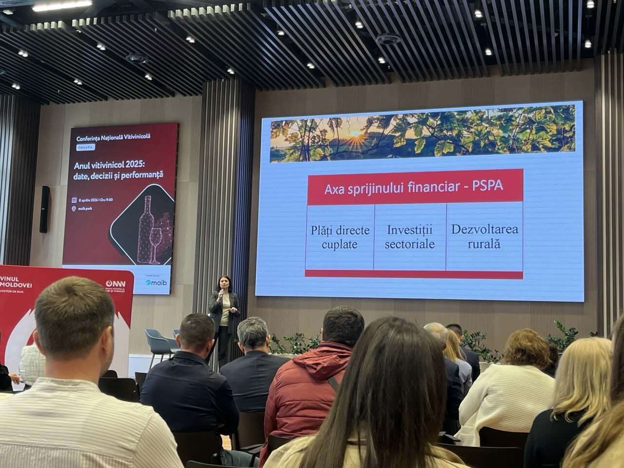 AIPA a anunțat suma investițiilor pentru sector vitivinicol - agroexpert.md