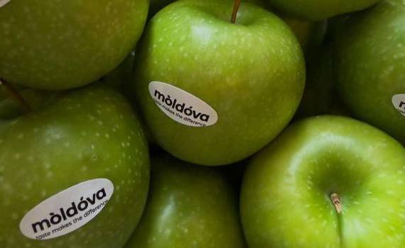 exportul de mere în 2026 - AGROEXPERT.MD
