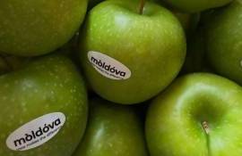 exportul de mere în 2026 - AGROEXPERT.MD