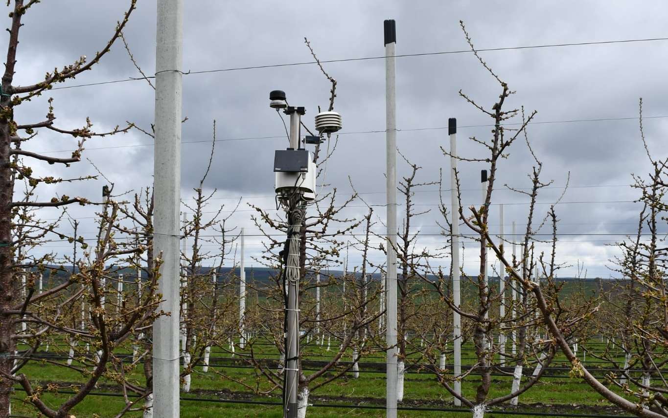 Stație meteo - agroexpert.md