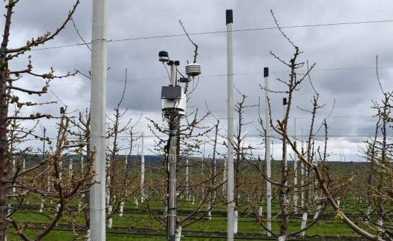 Stație meteo - agroexpert.md