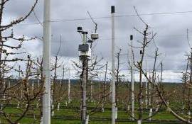 Stație meteo - agroexpert.md