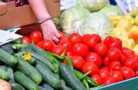 intermediar între producătorul primar și consumatorul final - agroexpert.md