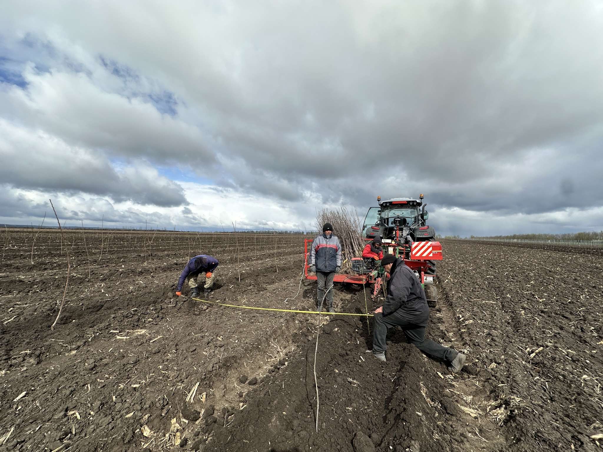 UTM plantează 10 hectare de livadă didactică - agroexpert.md