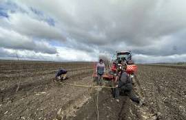 UTM plantează 10 hectare de livadă didactică - agroexpert.md