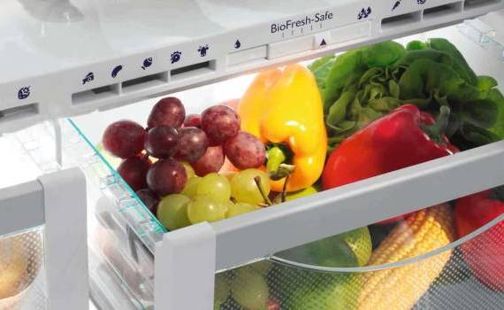 Tot ce trebuie să știi despre păstrarea alimentelor pe timp de caniculă - agroexpert.md