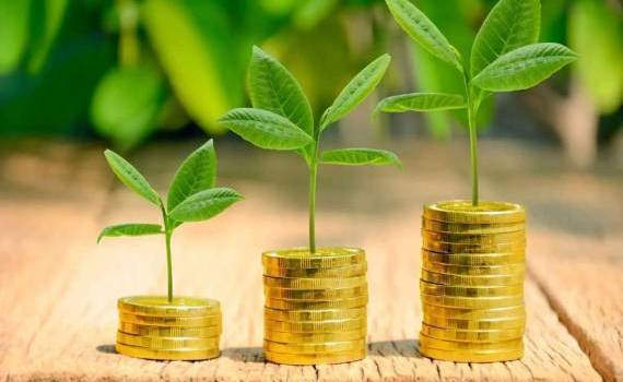 AIPA a finalizat plata primelor de asigurare pentru cererile agricole 2025 - agroexpert.md