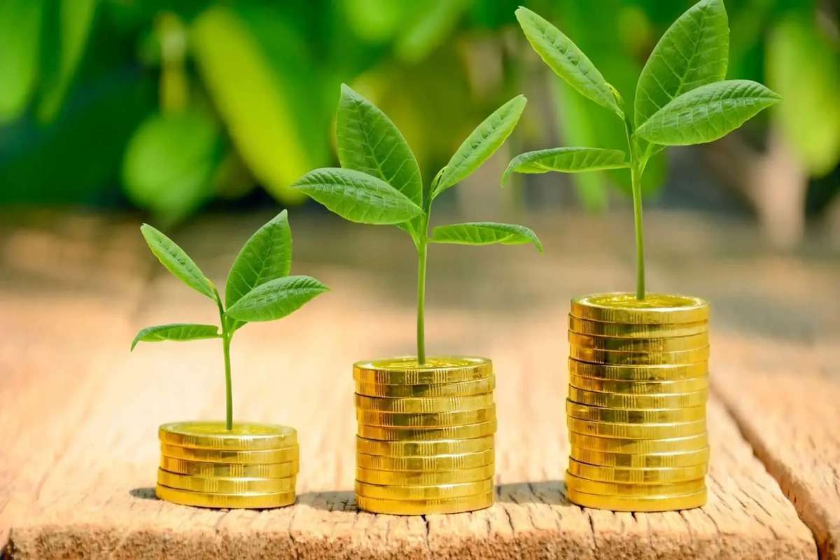 AIPA a finalizat plata primelor de asigurare pentru cererile agricole 2025 - agroexpert.md