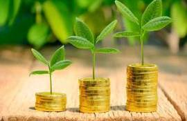 AIPA a finalizat plata primelor de asigurare pentru cererile agricole 2025 - agroexpert.md