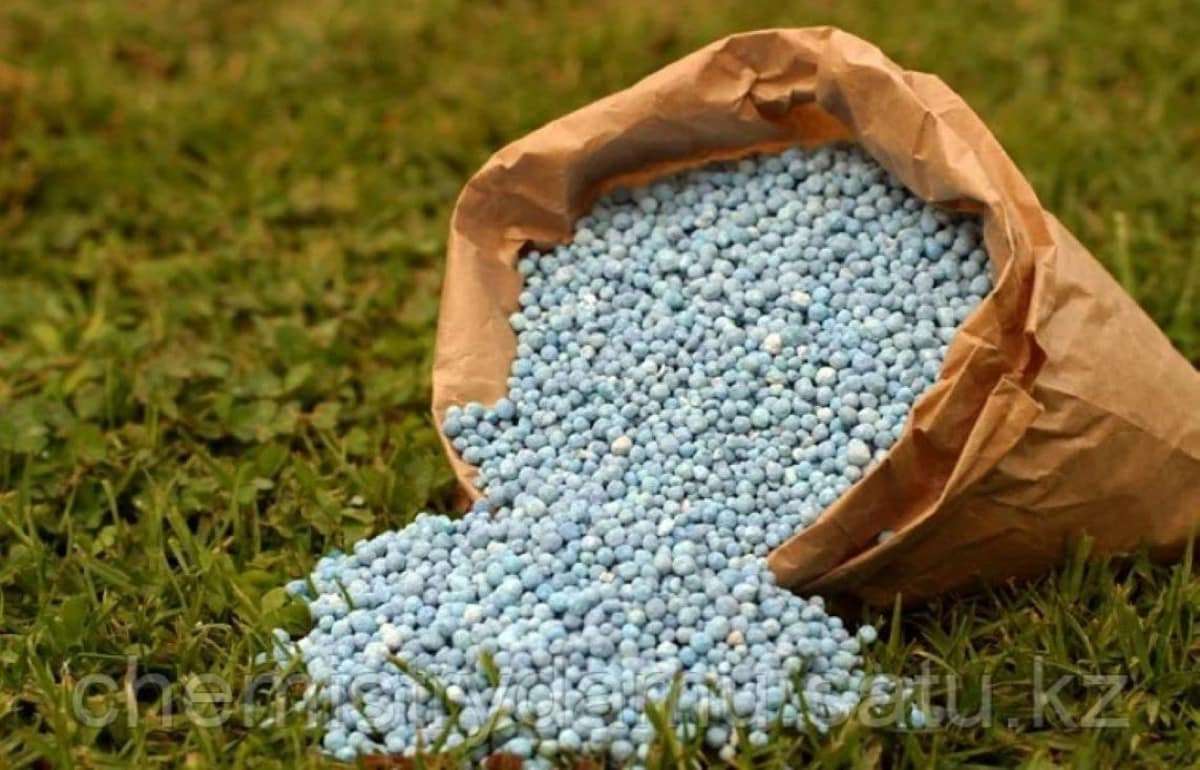 Rabobank прогнозирует медленное восстановление рынка удобрений - agroexpert.md