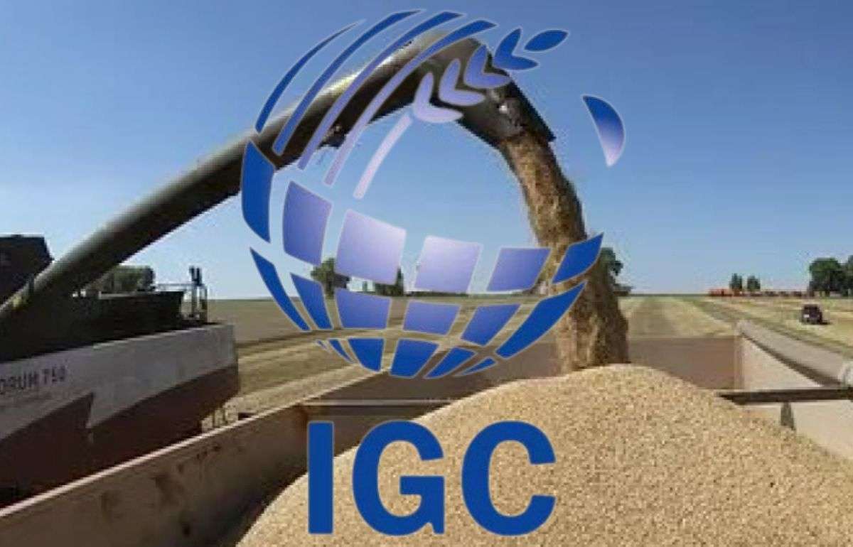 IGC повысил прогноз мирового производства зерна на 2026-2027 годы - agroexpert.md
