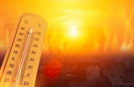 Val de căldură extrem în R. Moldova: Cod Roșu de caniculă până la +41°C - agroexpert.md