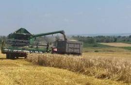 Recoltarea a început în sudul R.Moldova: orzul, primul pe câmp - agroexpert.md