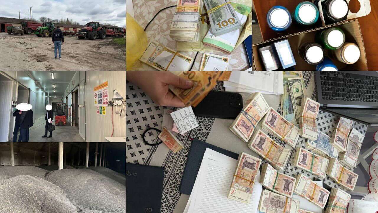 Mai multe companii agricole, vizate într-un dosar de evaziune fiscală - agroexpert.md