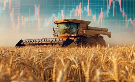 На мировых рынках в четверг пшеница, кукуруза и соя подорожали - agroexpert.md