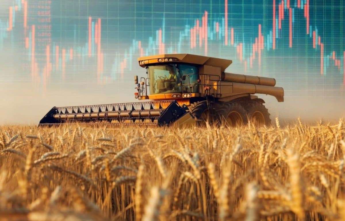 На мировых рынках в четверг пшеница, кукуруза и соя подорожали - agroexpert.md
