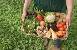 Cum vrea MAIA să dezvolte agricultura ecologică în R. Moldova - agroexpert.md