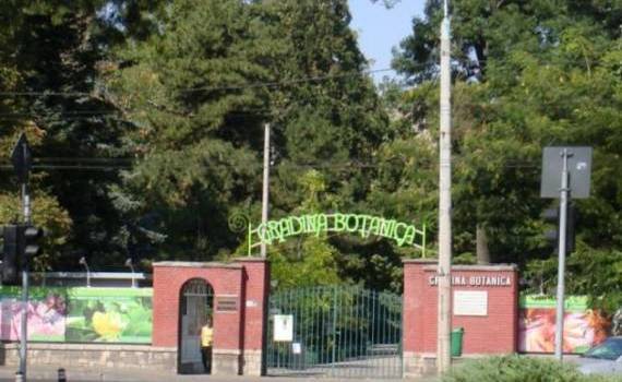 nereguli financiare la Grădina Botanică - agroexpert.md