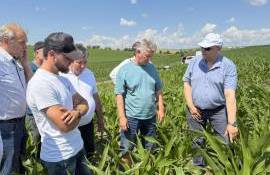 Peste 500 de fermieri vor beneficia de Școlile de câmp în R. Moldova - agroexpert.md