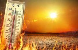 Caniculă extremă în Republica Moldova: recomandările specialiștilor - agroexpert.md