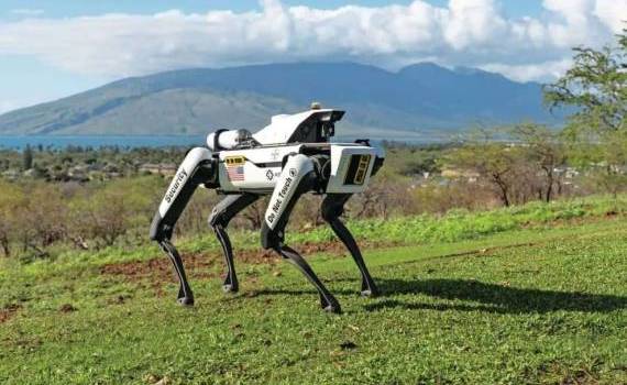 В США фермеры переходят на использование робособак для охраны кукурузы - agroexpert.md