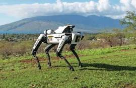 В США фермеры переходят на использование робособак для охраны кукурузы - agroexpert.md