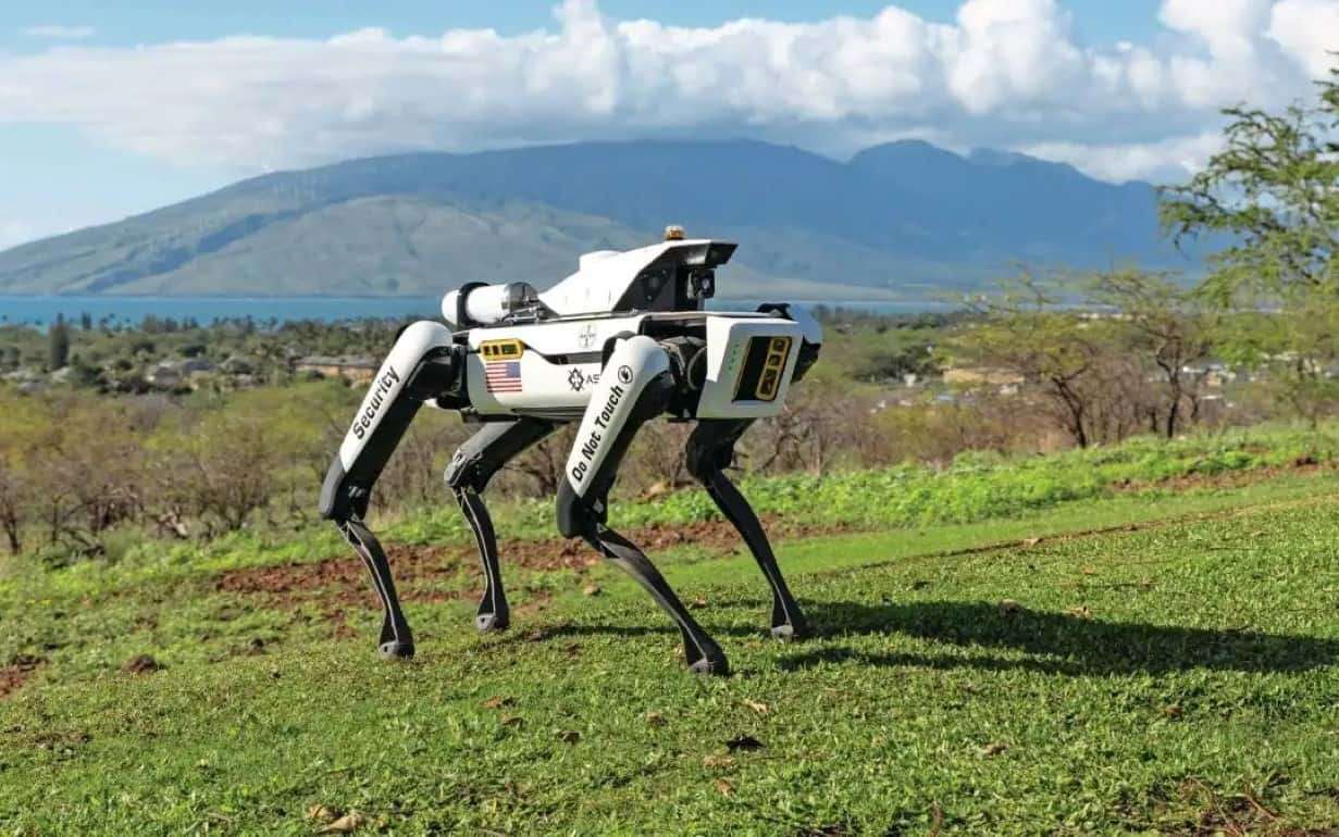 В США фермеры переходят на использование робособак для охраны кукурузы - agroexpert.md