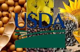 Апрельский отчет FAS USDA: корректировка балансов масличных культур - agroexpert.md