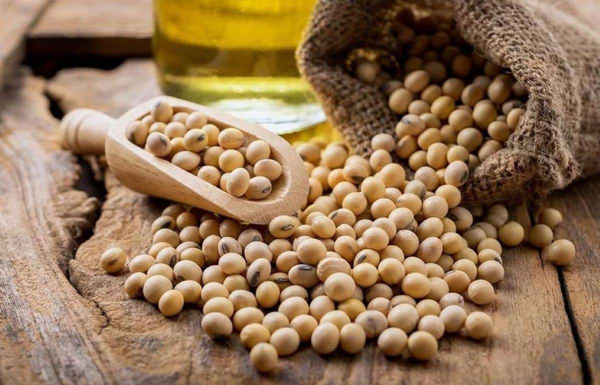 Бразилия вытеснила США, нарастив свою долю на китайском рынке сои - agroexpert.md