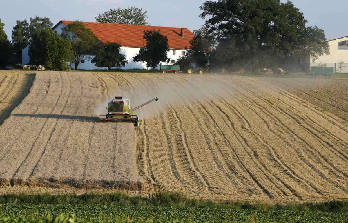 Фермеры Германии уже давно обрабатывают землю, которая им не принадлежит - agroexpert.md