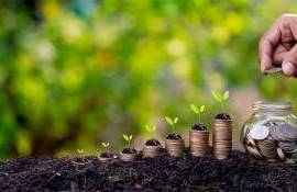 Cine poate beneficia de subvenții în 2026 - agroexpert.md