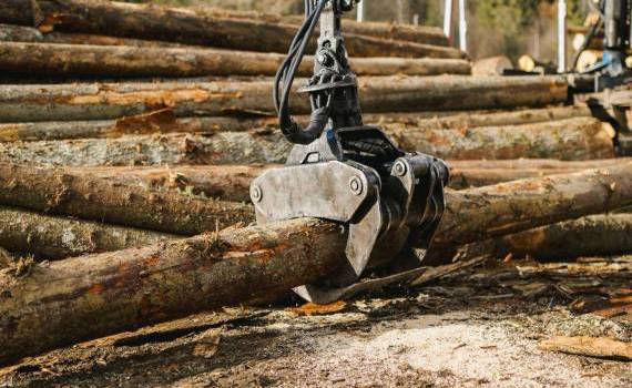 licitație pentru a cumpăra utilaje forestiere - agroexpert.md